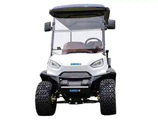What Is the Best 6 Person Electric Golf Cart for Business Use?